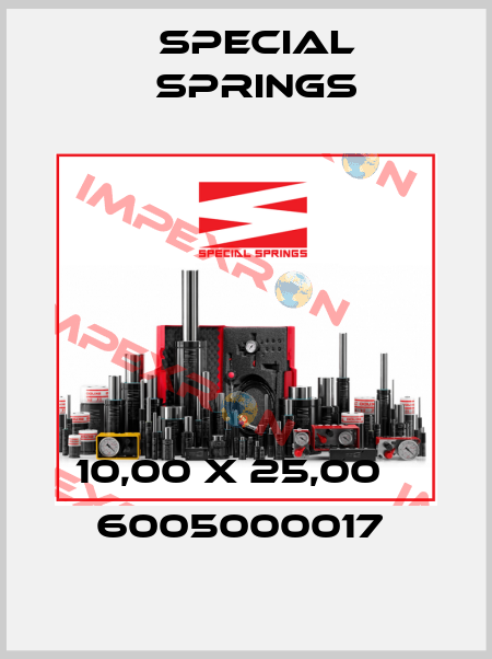 10,00 X 25,00    6005000017  Special Springs