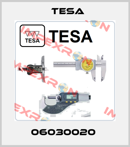 06030020  Tesa
