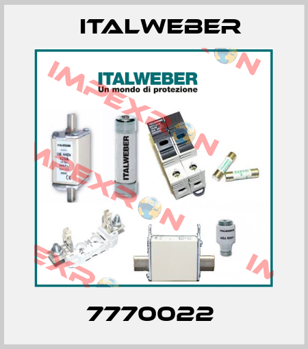 7770022  Italweber