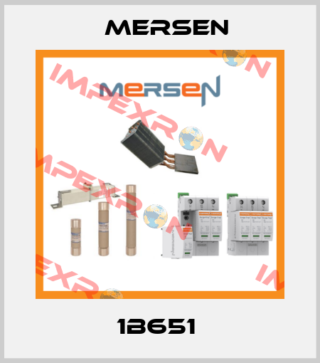 1B651  Mersen