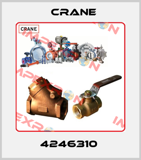 4246310  Crane
