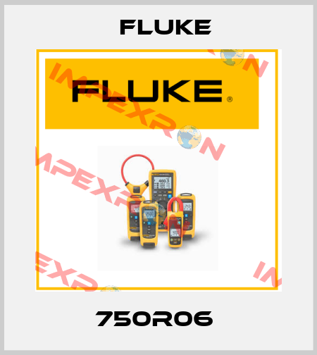 750R06  Fluke
