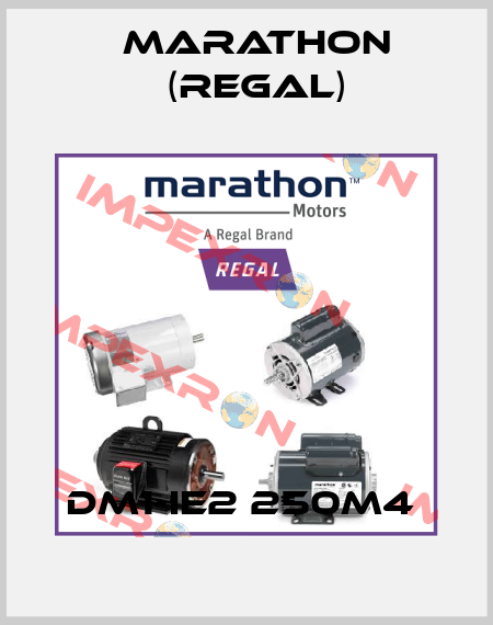 DM1-IE2 250M4  Marathon (Regal)