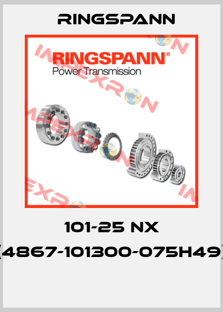 101-25 NX (4867-101300-075H49)  Ringspann