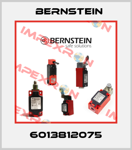 6013812075 Bernstein