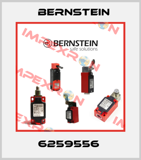 6259556  Bernstein
