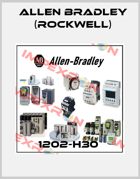 1202-H30  Allen Bradley (Rockwell)