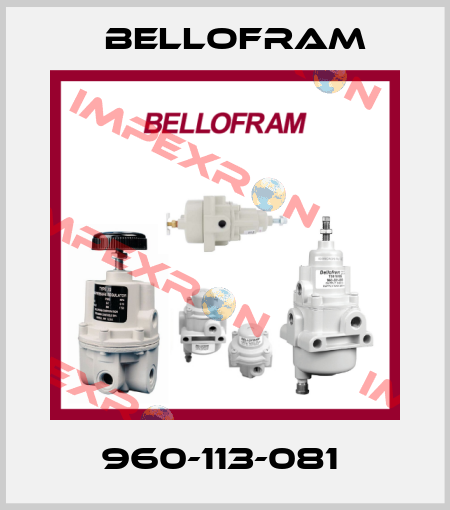 960-113-081  Bellofram