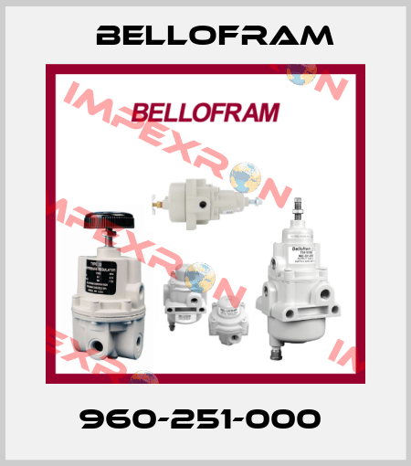 960-251-000  Bellofram