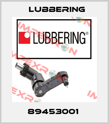 89453001  Lubbering