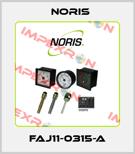 FAJ11-0315-A Noris