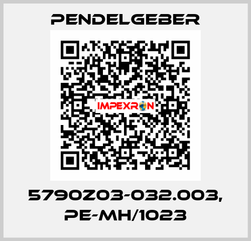 5790Z03-032.003, PE-MH/1023 Pendelgeber