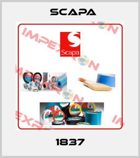 1837 Scapa