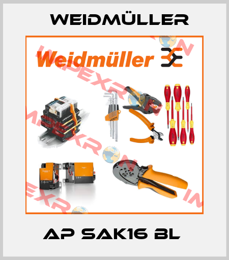 AP SAK16 BL  Weidmüller