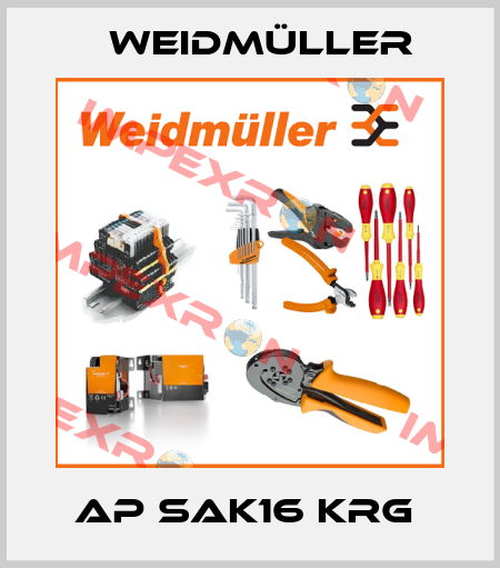 AP SAK16 KRG  Weidmüller