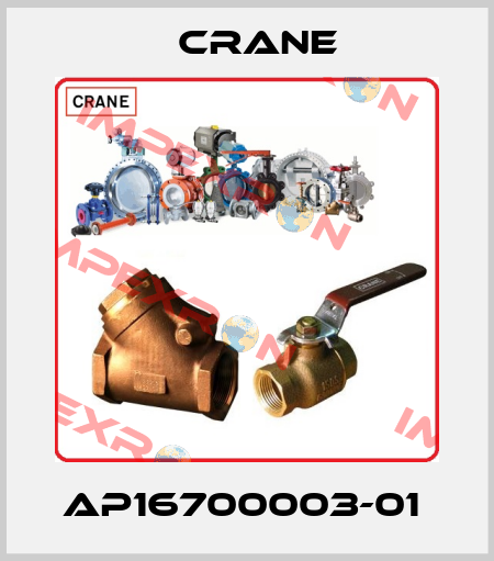 AP16700003-01  Crane