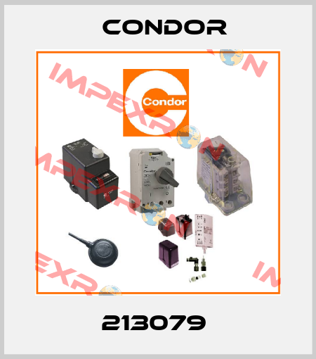 213079  Condor
