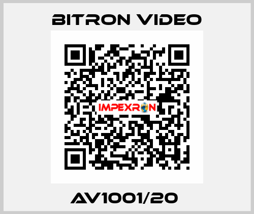 AV1001/20  Bitron video