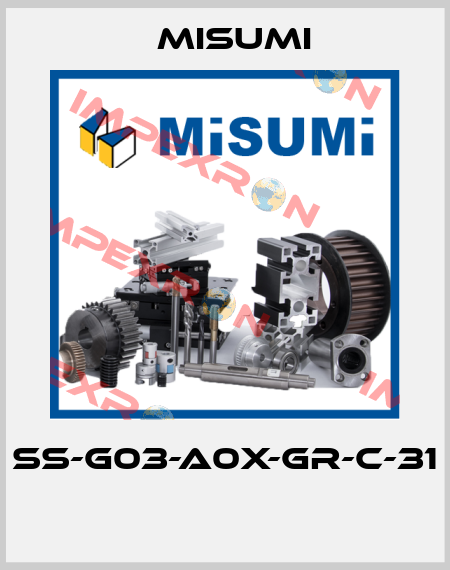SS-G03-A0X-GR-C-31  Misumi