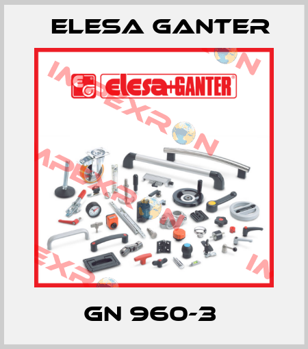 GN 960-3  Elesa Ganter