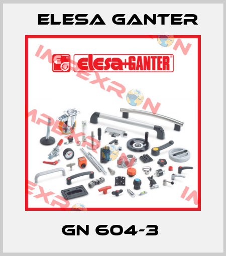 GN 604-3  Elesa Ganter
