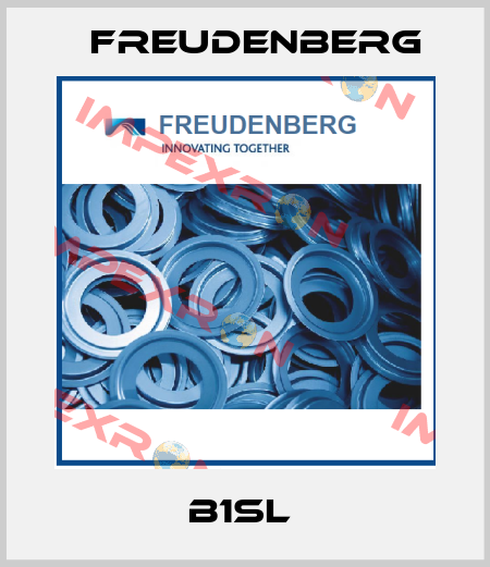 B1SL  Freudenberg