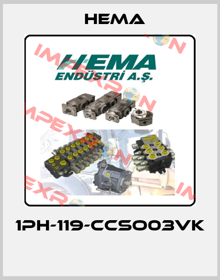 1PH-119-CCSO03VK  Hema
