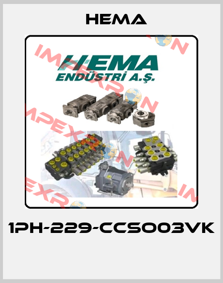 1PH-229-CCSO03VK  Hema