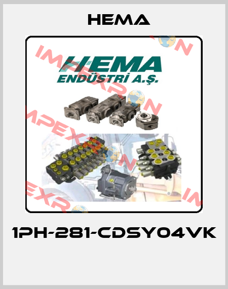 1PH-281-CDSY04VK  Hema