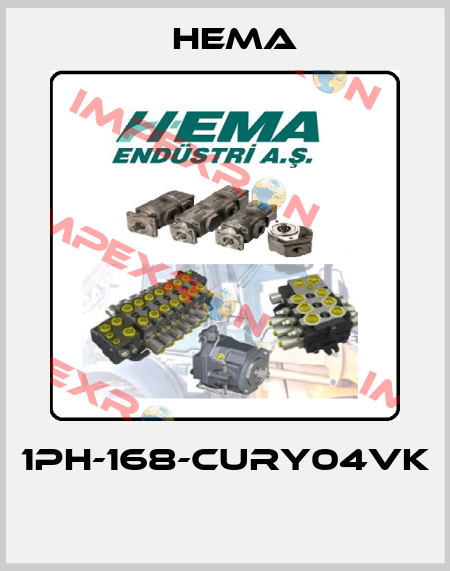 1PH-168-CURY04VK  Hema