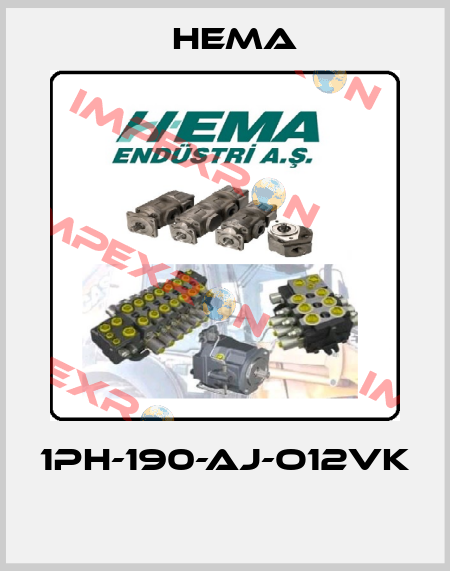 1PH-190-AJ-O12VK  Hema