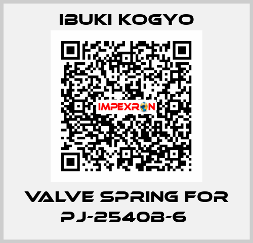VALVE SPRING for PJ-2540B-6  IBUKI KOGYO