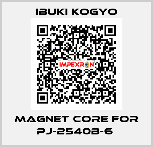 MAGNET CORE for PJ-2540B-6  IBUKI KOGYO