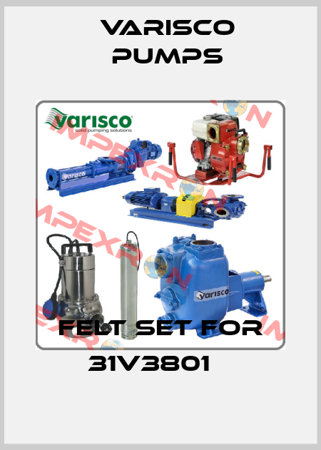 Felt set for 31V3801    Varisco pumps