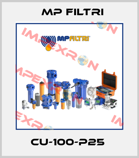 CU-100-P25  MP Filtri