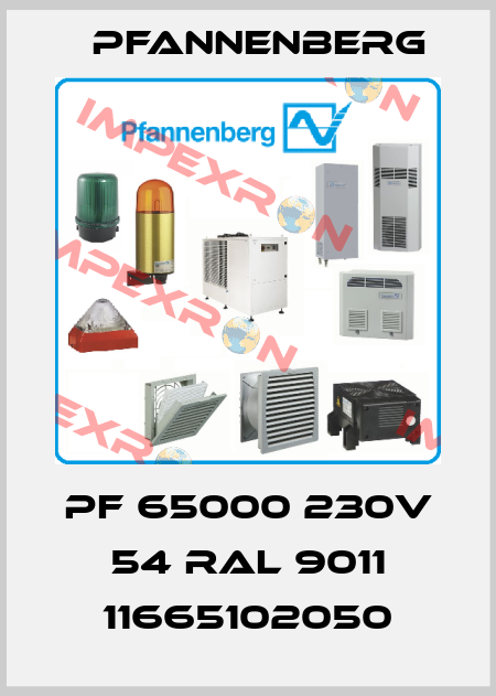 PF 65000 230V 54 Ral 9011 11665102050 Pfannenberg