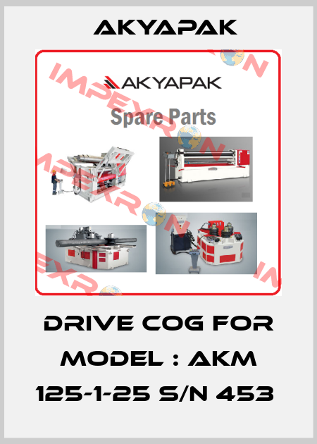 DRIVE COG FOR MODEL : AKM 125-1-25 S/N 453  Akyapak