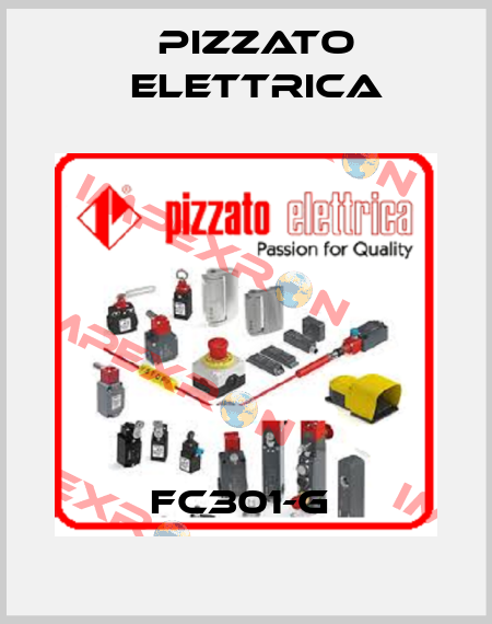 FC301-G  Pizzato Elettrica