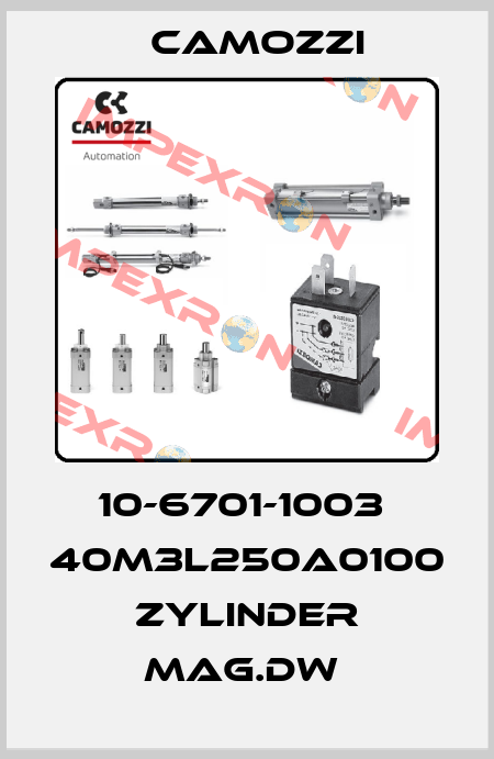 10-6701-1003  40M3L250A0100 ZYLINDER MAG.DW  Camozzi