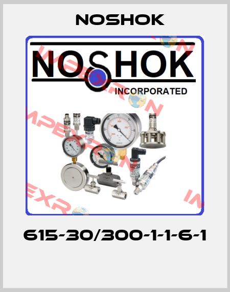 615-30/300-1-1-6-1  Noshok