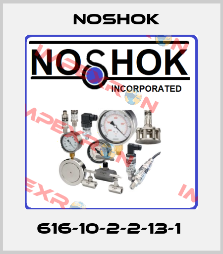 616-10-2-2-13-1  Noshok