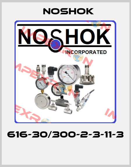 616-30/300-2-3-11-3  Noshok