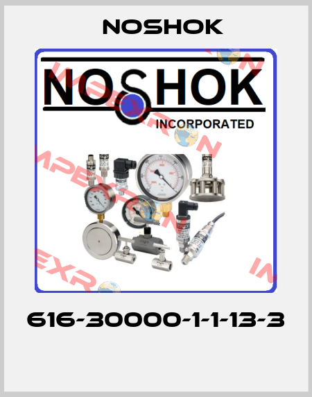 616-30000-1-1-13-3  Noshok