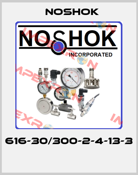 616-30/300-2-4-13-3  Noshok