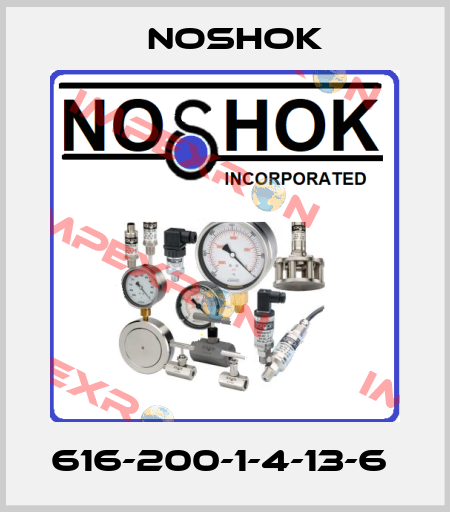 616-200-1-4-13-6  Noshok
