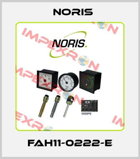 FAH11-0222-E Noris