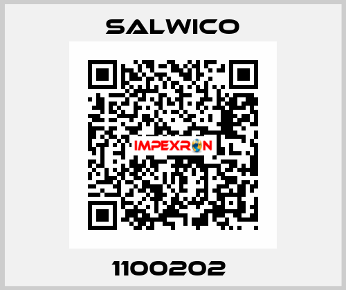 1100202  Salwico