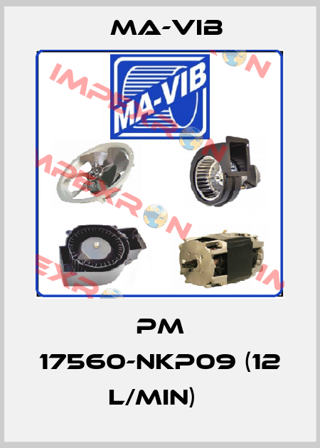 PM 17560-NKP09 (12 l/min)   MA-VIB