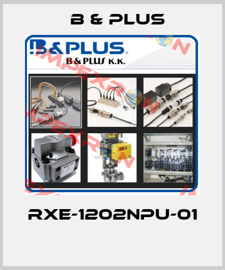 RXE-1202NPU-01  B & PLUS
