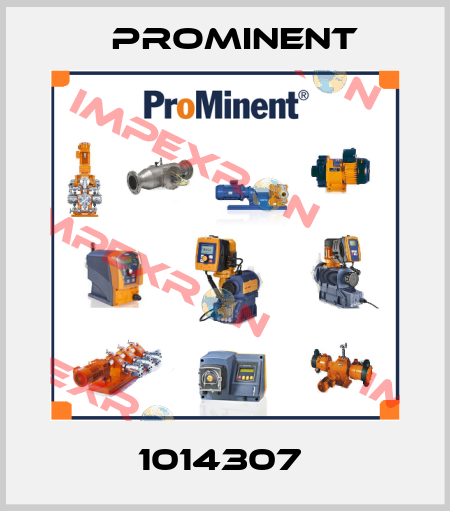 1014307  ProMinent